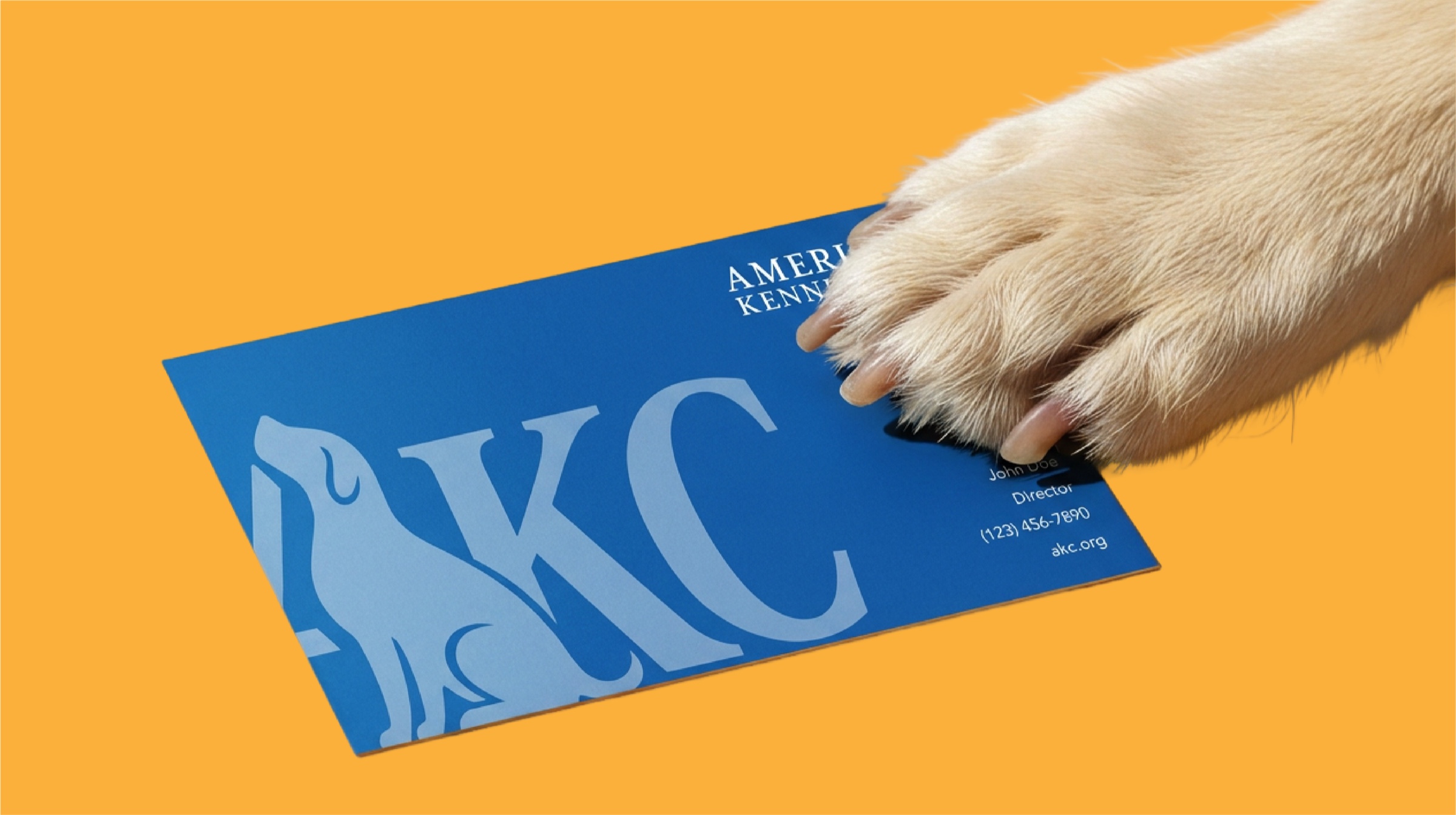 AKC business card held by a dog paw