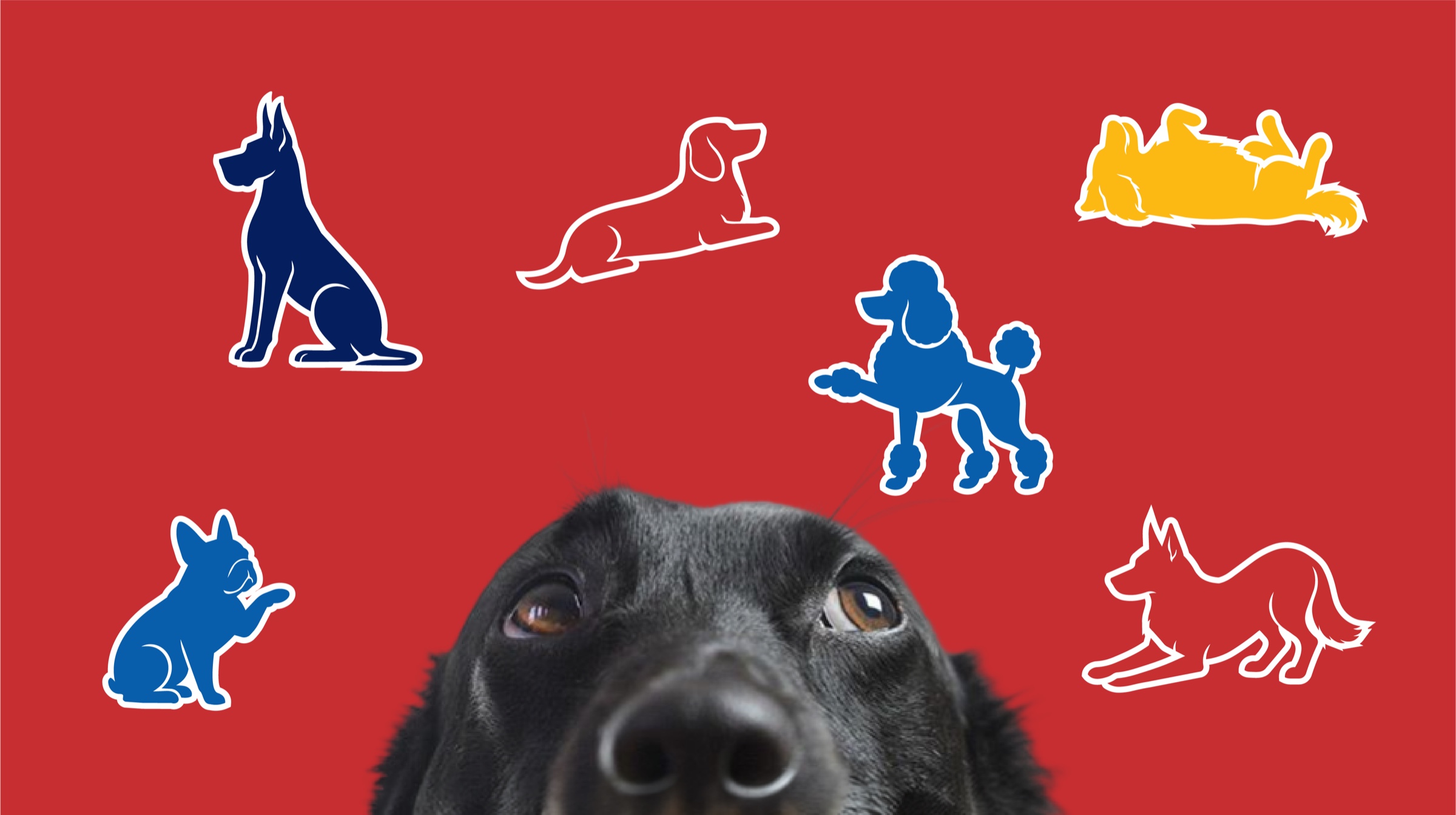 AKC dog silhouette illustration system