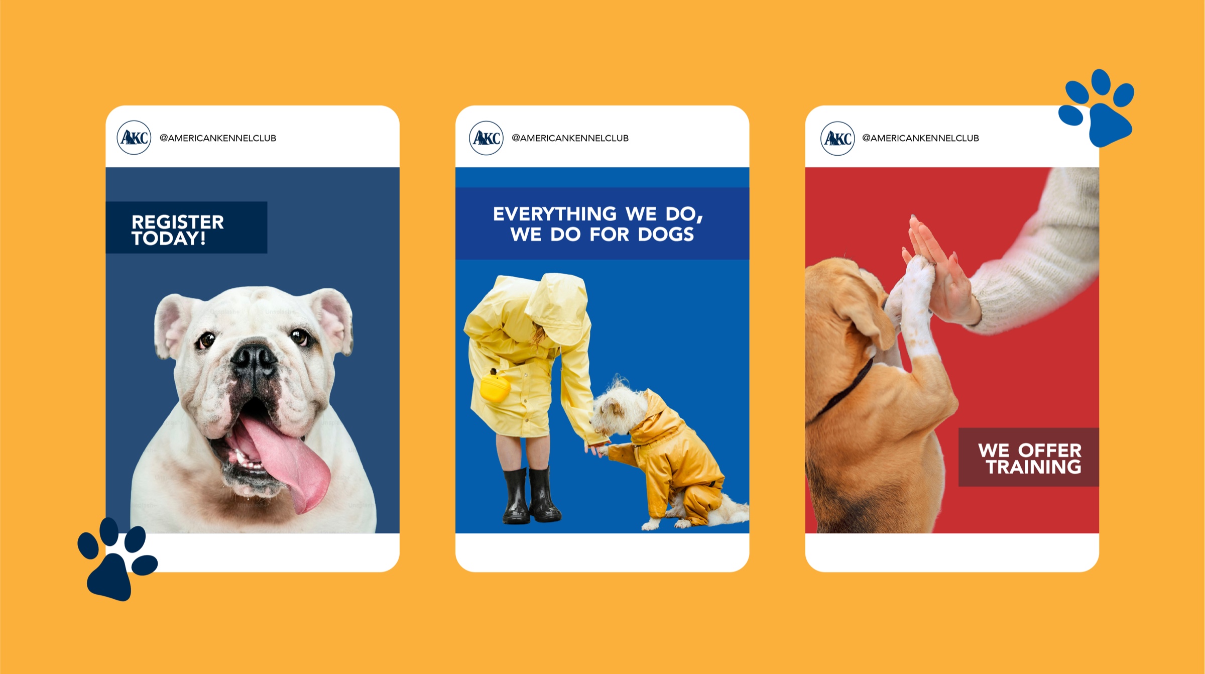 Three AKC social media campaign concepts