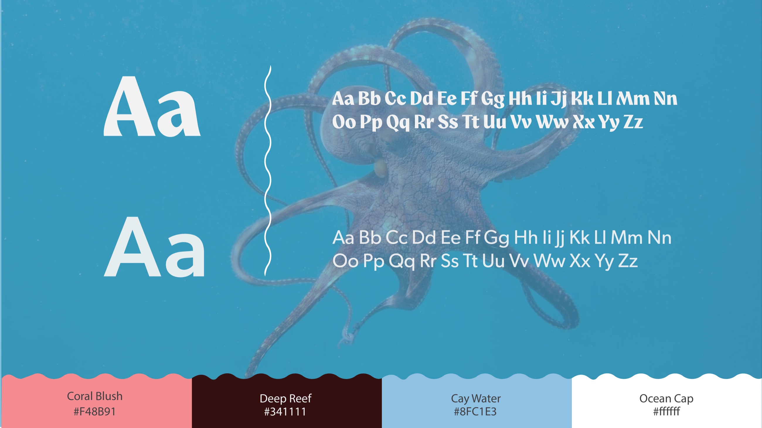Bantey Cay typography and coral-blue color system