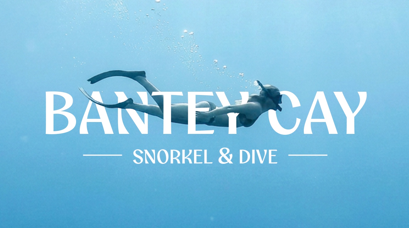 Bantey Cay Snorkel and Dive identity over an underwater diver scene